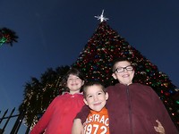 aan de kerstboom