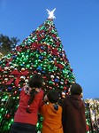 aan de kerstboom
