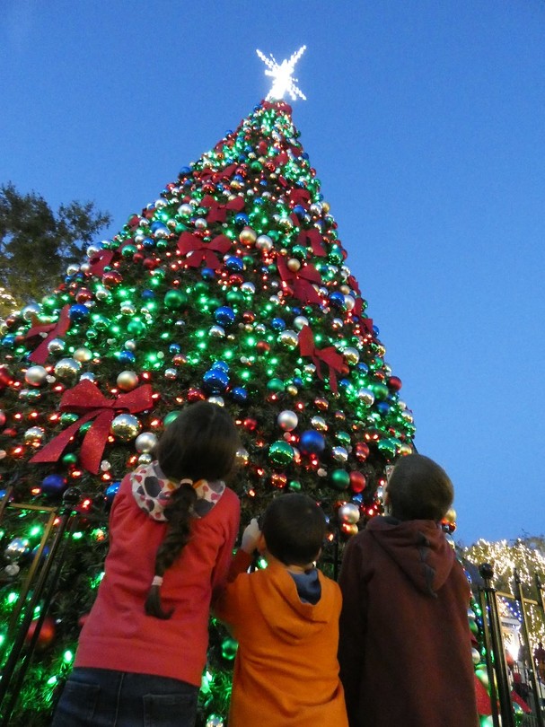 aan de kerstboom