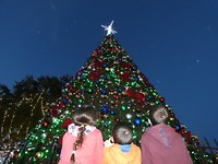 aan de kerstboom