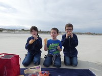 Picknick op het strand