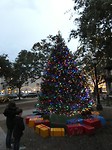 kerstboom