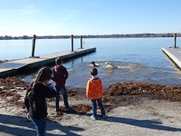Lake Blackshare