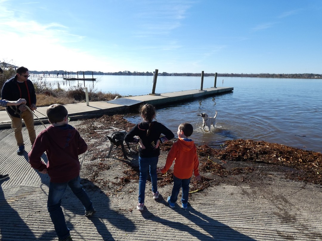 Lake Blackshare