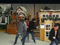in het winterdorp
