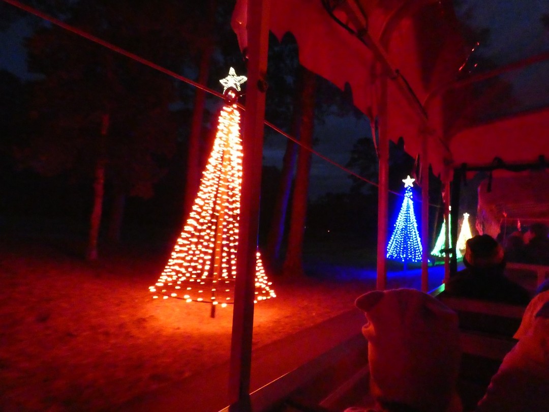 Fantasy In Lights