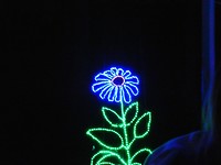 Fantasy In Lights