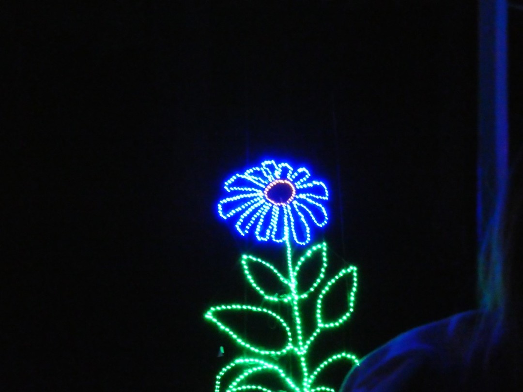 Fantasy In Lights