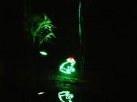 Fantasy In Lights