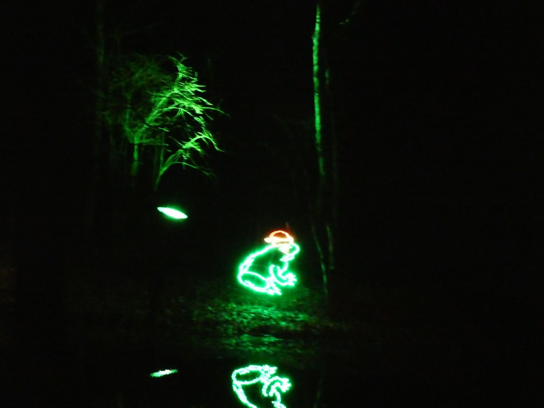 Fantasy In Lights