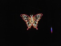 Fantasy In Lights