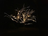 Fantasy In Lights