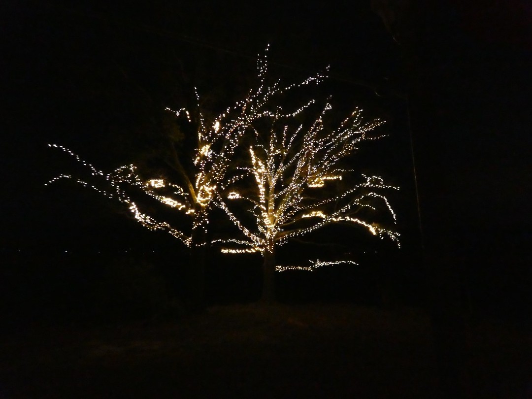 Fantasy In Lights