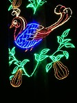 Fantasy In Lights