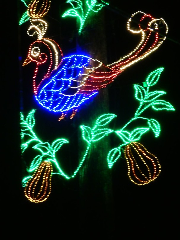 Fantasy In Lights