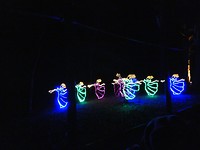 Fantasy In Lights