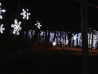 Fantasy In Lights