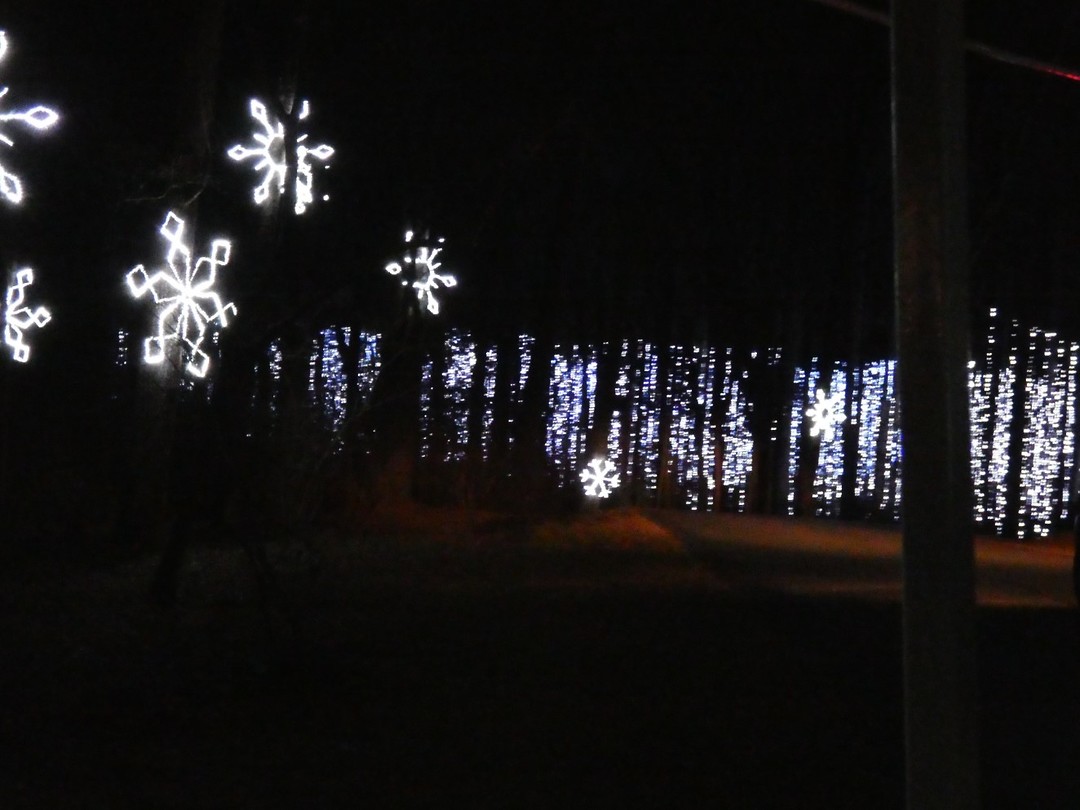 Fantasy In Lights