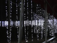 Fantasy In Lights