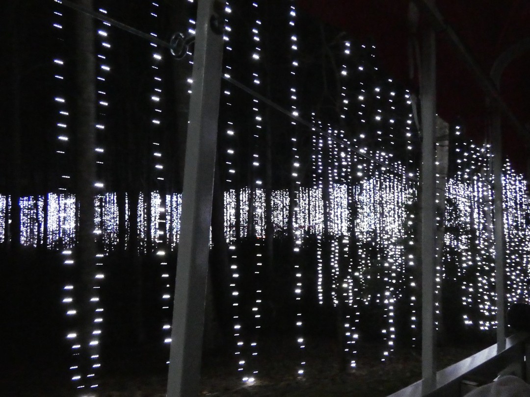 Fantasy In Lights