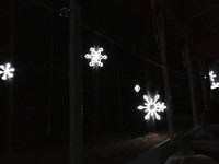 Fantasy In Lights