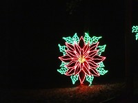 Fantasy In Lights
