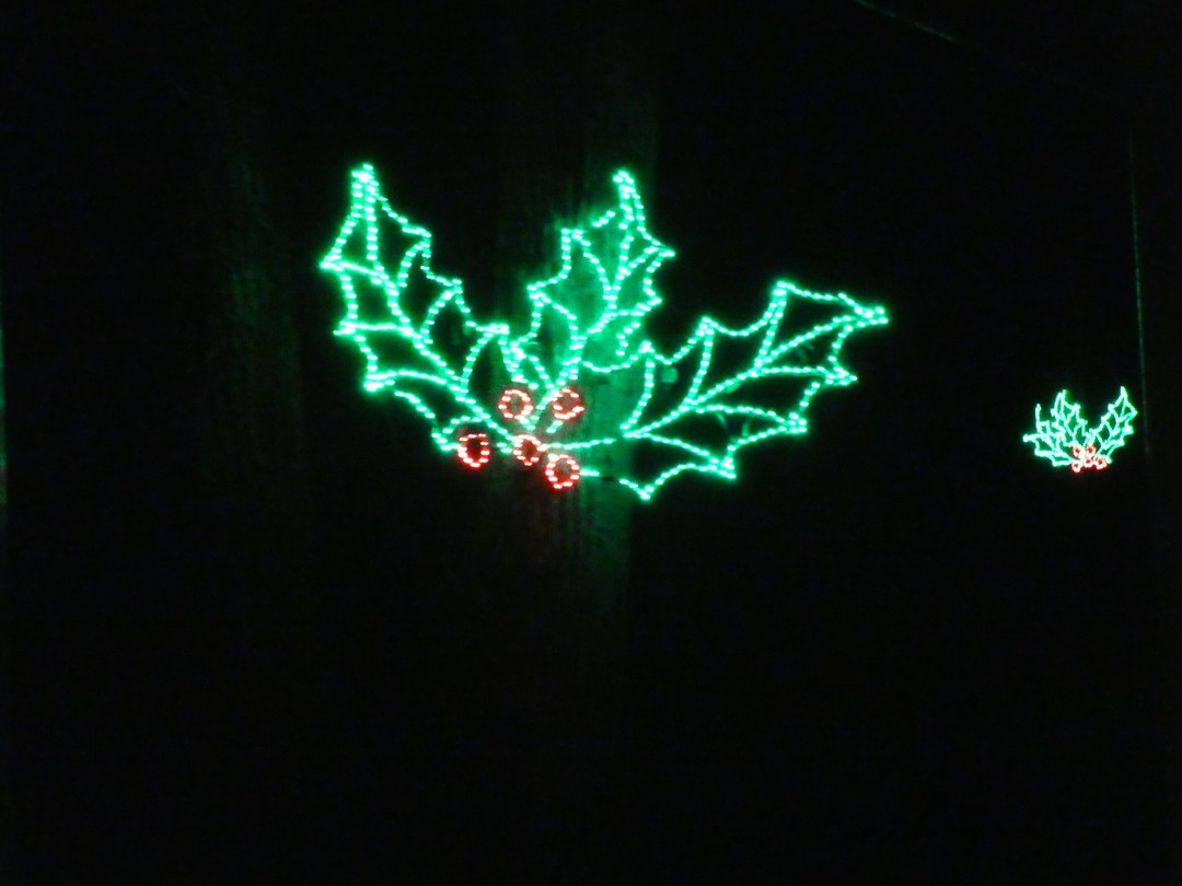 Fantasy In Lights