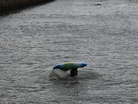 River walk