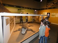 Columbus museum