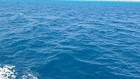 De zee, warmte in je hart...