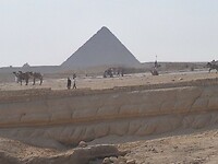 kamelen en de piramide