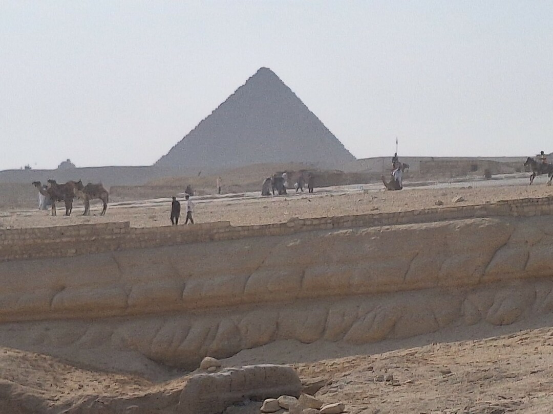 kamelen en de piramide