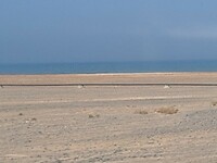 pijplijn langs de kust