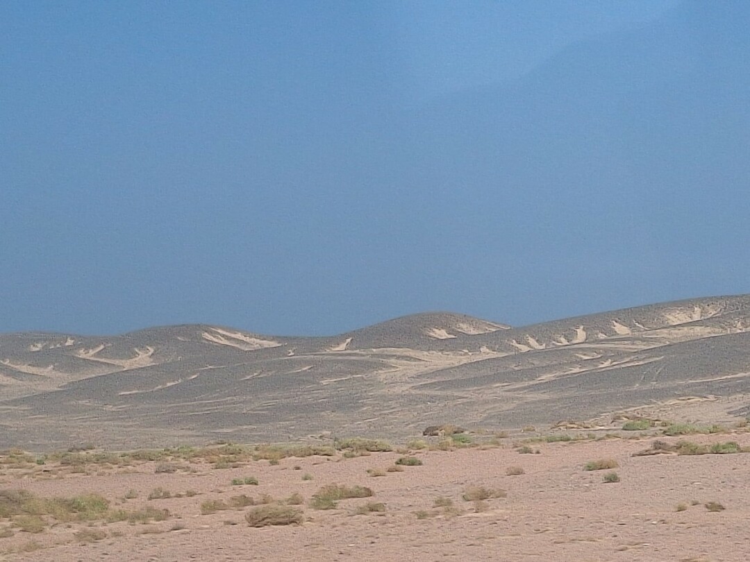 woestijnlandschap