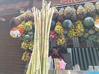 typische fruitkraam met sugar gaine