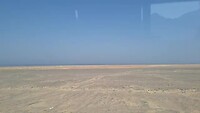 Landschap vanuit bus