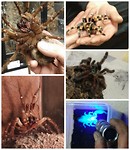 Prepare to be prepared for Cute Creatures!