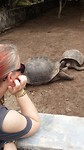 Turtle Breeding Center on Isabela