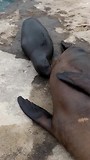 No matter how close you get.... Do not touch any of the Creatures living here!!!