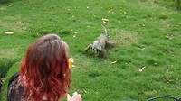 They get to you very fast!!!
