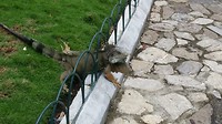 20170510_114621