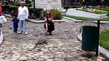 He's a maniac! Maniac! On the floor...