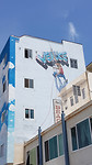 Venice Beach Boulevard