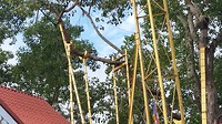 20181224_085444