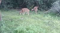 20181223_173250