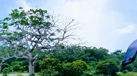 20181223_153611