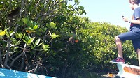 20181223_094620