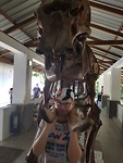 20181227_104225