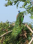 20181231_080528