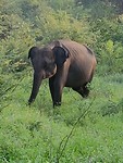 20181231_071601